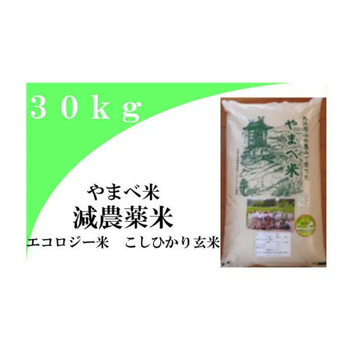 【玄米】減農薬米（ こしひかり １００％）３０ｋｇ【令和7年産 2025年産 お米 こめ コシヒカリ 30kg 米 玄米 エコロジー米 エコファーマー認定 減化学肥料 ダイエット 島根県産 大田市産】