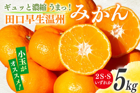 【期間限定発送】 みかん 5kg ギュッと濃縮 うまっ！ 田口早生温州みかん 2S・Sいずれか