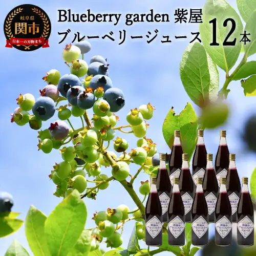 農薬不使用の自然農園 紫屋の【ブルーベリージュース】 12本 （720ml）