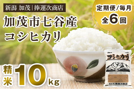 【令和6年産米】【定期便6ヶ月毎月お届け】七谷産コシヒカリ 精米10kg（5kg×2）白米 捧運次商店