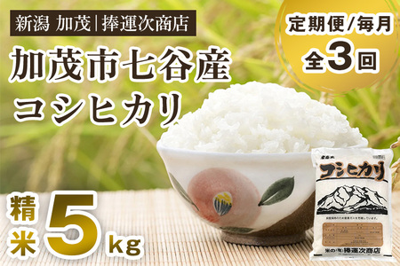 【令和6年産米】【定期便3回毎月お届け】七谷産コシヒカリ 精米5kg 白米 捧運次商店