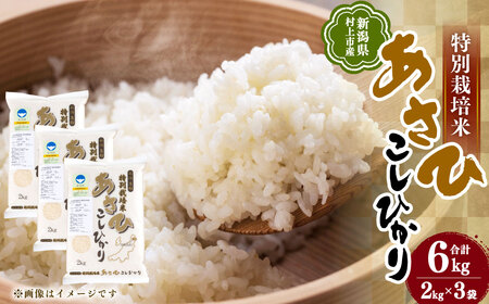 【令和7年産米】新潟県村上市産 特別栽培米 コシヒカリ 6kg  A4033 
