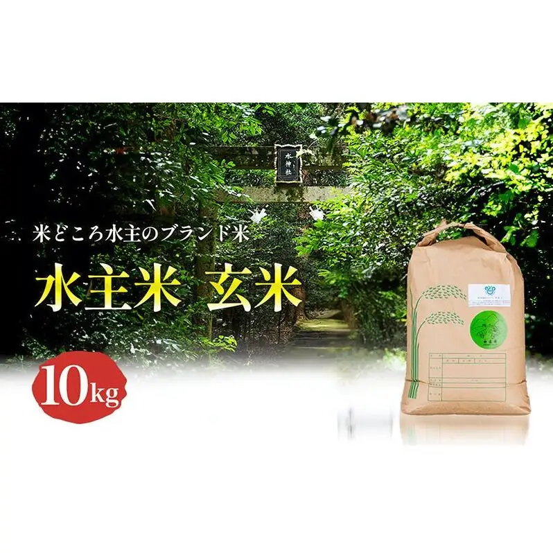 令和8年新米エコファーマー認定農家の地域ブランド米(水主米) 玄米10kg お米 コシヒカリ 香川県 香川 東かがわ市