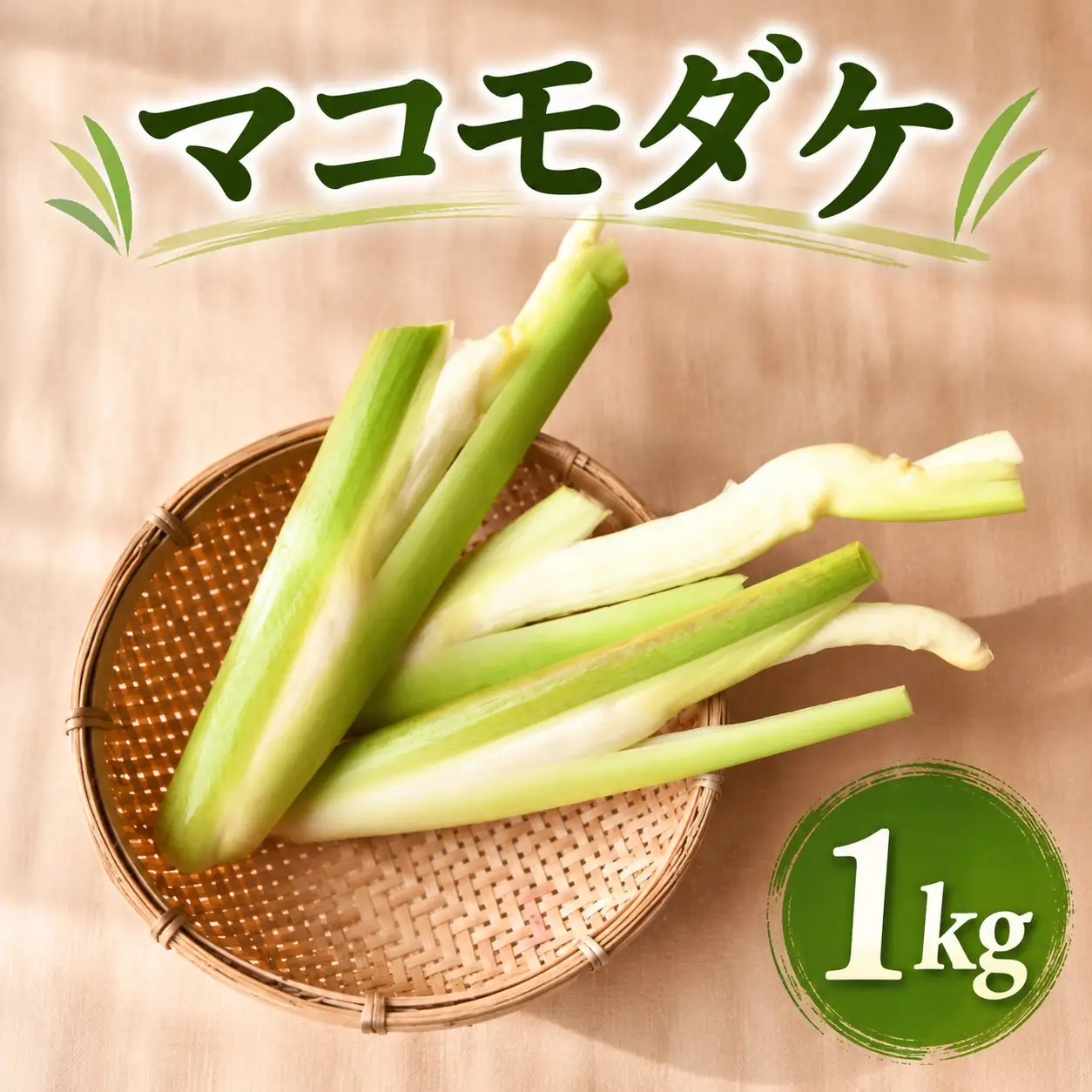 【先行予約・期間限定】季節限定 マコモダケ 1kg 10本程度 まこも マコモ 真菰筍 まこもだけ まこもたけ 新鮮 旬 野菜 送料無料 nc001