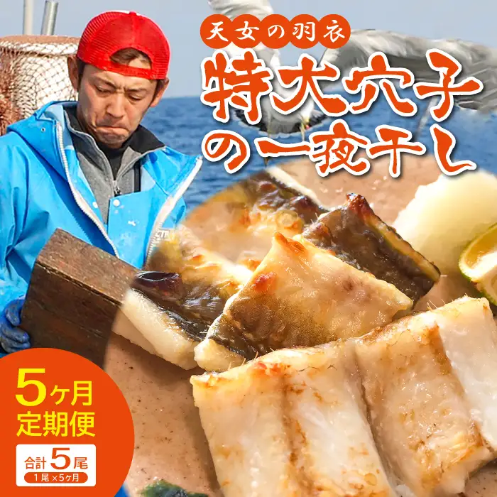 【全5回定期便】特厚 特大 穴子 一夜干し 1尾×5回【穴子 50cm前後 1尾 5回定期便 穴子干物 島根県産 大田市産 アナゴ 干物 無添加 天日塩 新鮮 冷凍 真空パック】