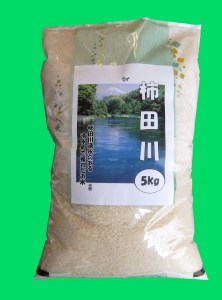 清水町産　きぬむすめ【白米】７キロ