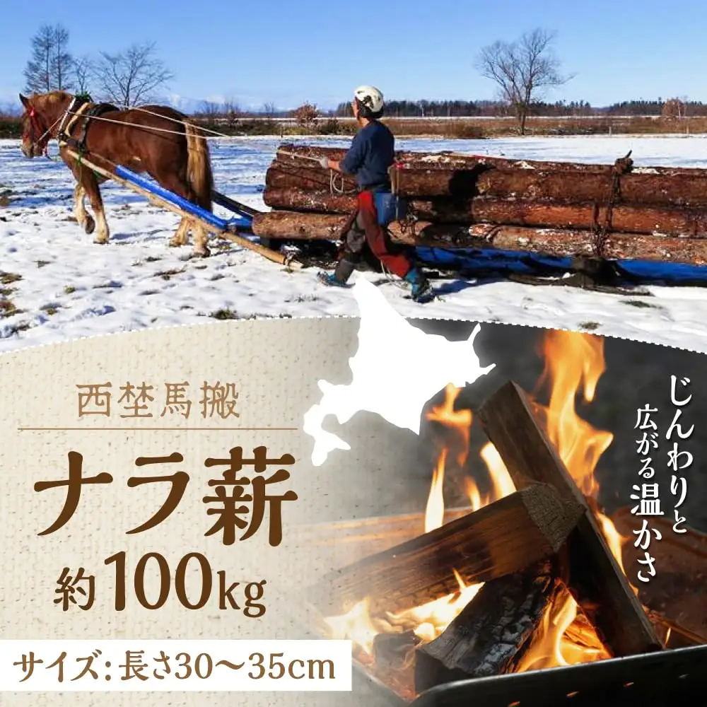 薪ストーブ 北海道 ナラ薪 100kg 20kg×5箱【西埜馬搬】マキ 木材 燃料 [AXBE002]