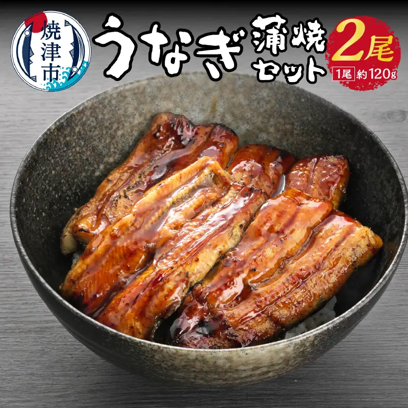 うなぎ 蒲焼 セット 約120g×2尾 海鮮うなぎ専門店 銀鮮 (a15-435)