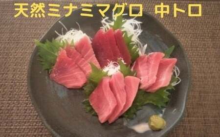 天然 南 鮪 （マグロ） 中トロ 600g 入り セット (a20-285)