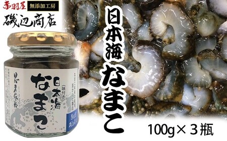 なまこ 味付き 3本 セット 珍味 日本海 おつまみセット おつまみ ごはんのお供 ご飯のお供 加工食品 海産物 ナマコ 海鮮 魚介類 魚介 ※ご入金確認後 3ヶ月以内の発送になります。 青森県鰺ヶ沢町 