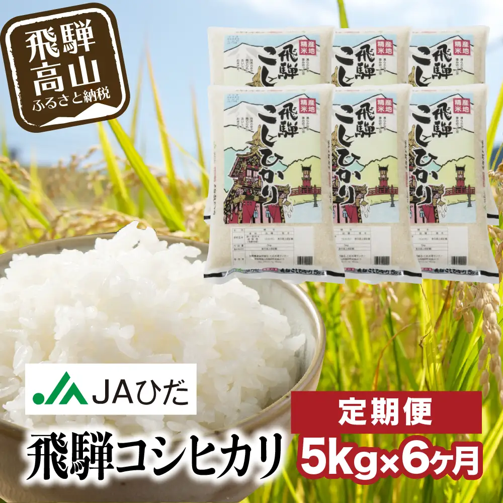 【ふるなび限定】定期便 6ヶ月 令和7年産 飛騨 コシヒカリ 白米 5kg 定期便 JAひだ GS100 FN-Limited-PR