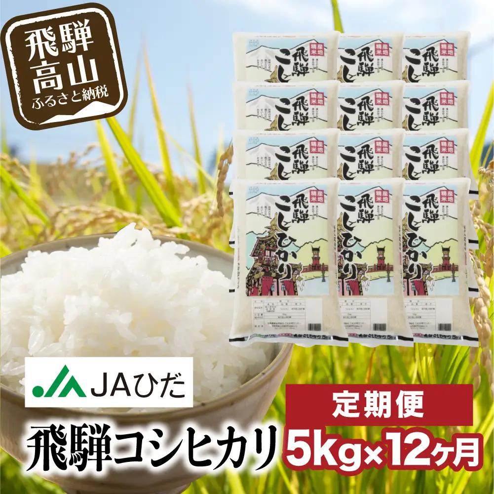 【ふるなび限定】定期便 12ヶ月 令和7年産 飛騨 コシヒカリ 白米 5kg 定期便 JAひだ GS100 FN-Limited-PR