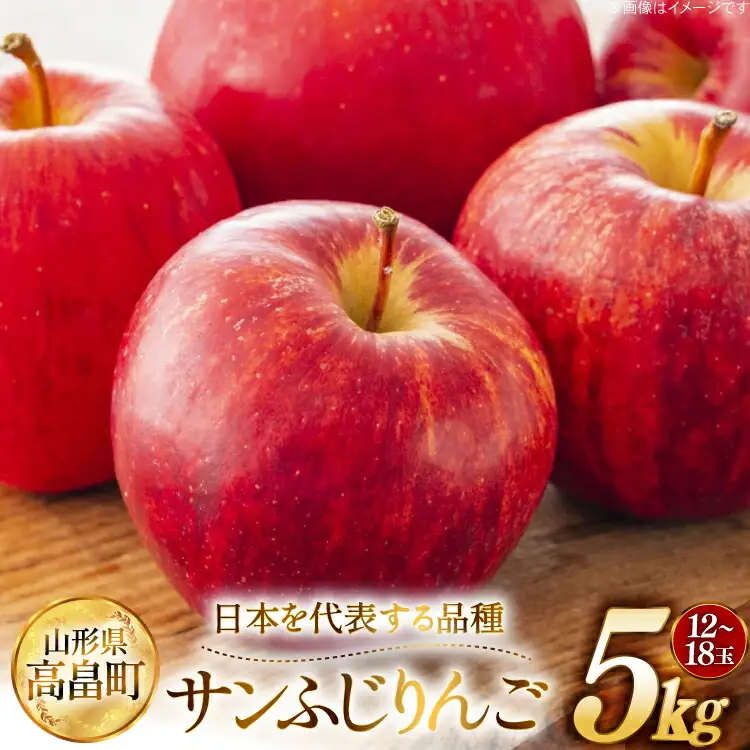 【期間限定発送】 りんご 高畠町産 サンふじ りんご 12～18玉 計 5kg