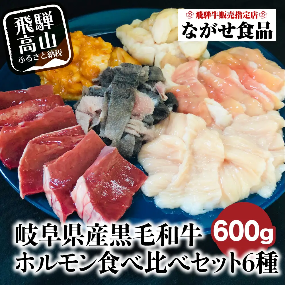 岐阜県産 黒毛和牛 ホルモン 食べ比べ 600g（100g×6種）| ホルモン  FH011