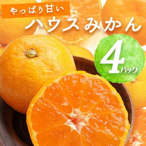 【2026年先行予約】ハウスみかん 4パック 【ミカン 蜜柑 柑橘 温州みかん 有田みかん 和歌山】_BF6053