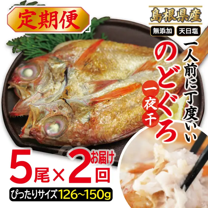 ぴったりサイズの「のどぐろ一夜干」５枚　定期便(２回お届け)【定期便 のどぐろ 干物 126～150g×5尾 2回 定期 一人前 天日塩 贅沢 のどぐろ干物 個包装 自宅用 ギフト 島根県 大田市】