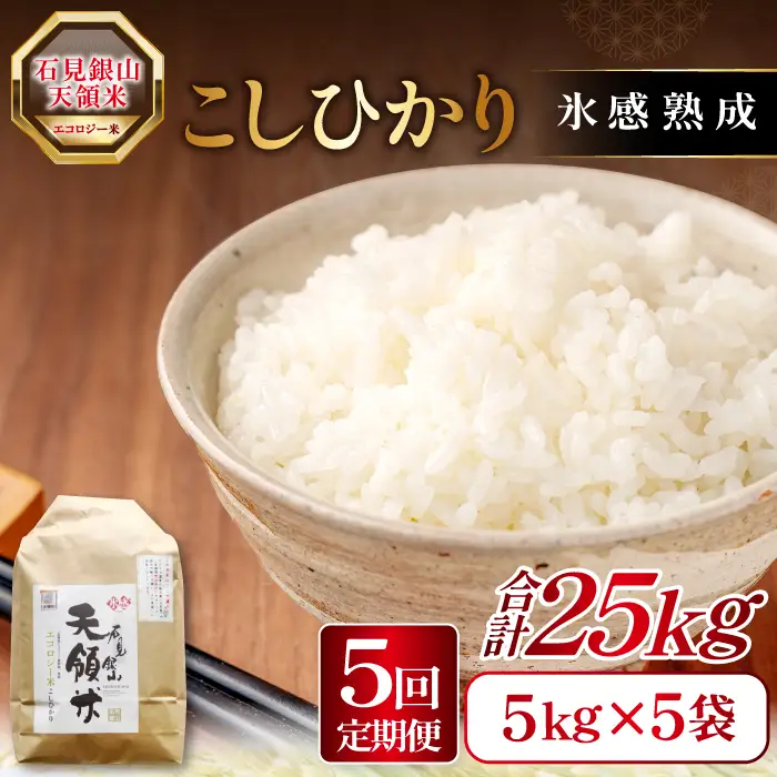 【定期便】石見銀山天領米(5kg×5回お届け)【定期便 定期 5回 コシヒカリ 精米 5kg×5回 合計25kg 島根県産 大田市産 米 氷感熟成 エコロジー米 天領米】