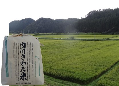 内川さわだ米(あきたこまち精米)5kg 秋田県五城目町産 お米 白米 