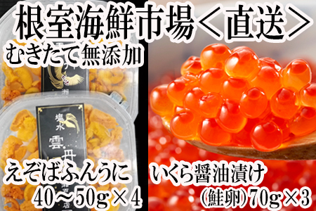 無添加エゾバフンウニ塩水パック(赤系)40～50g×4P、いくら醤油漬け70g×3P F-11005