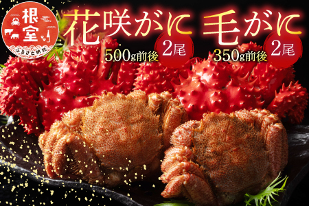 花咲がに500g前後×2尾と毛がに350g前後×2尾セット C-54005