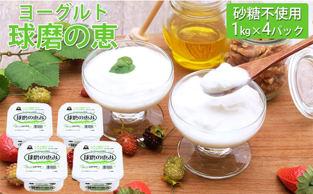 球磨の恵ヨーグルト 1kg×4パック（砂糖不使用） 乳製品 