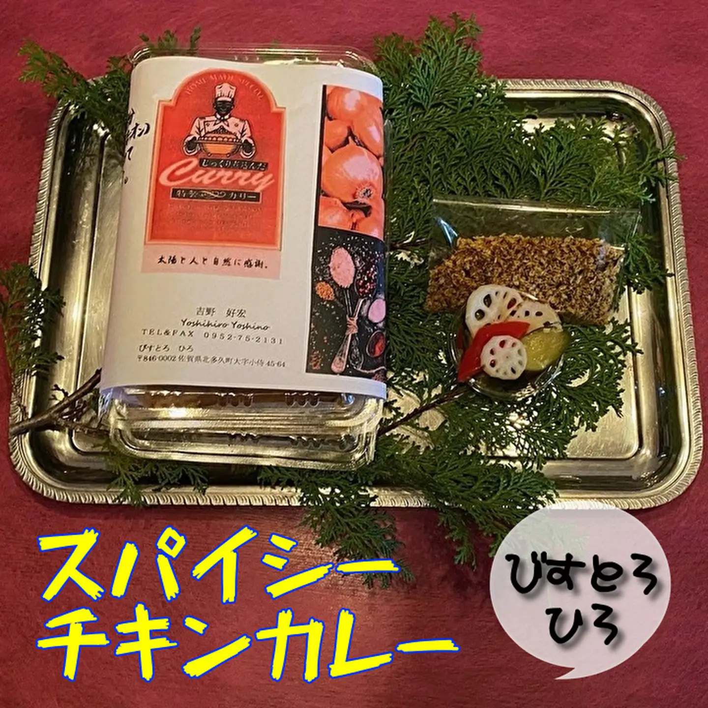 スパイシーチキンカレー 1kg _b-129