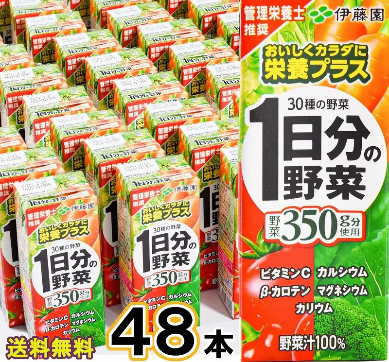 【10営業日以内発送】伊藤園 1日分の野菜 200ml×48本（24本×2ケースセット） スピード発送 紙パック 野菜ジュース 伊藤園 1日分の野菜 野菜ジュース　023-G-IT007
