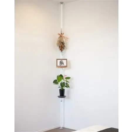 ミノウラリコルベ(Licolbe)のパーソナルタワー(室内用小物展示スタンド)【1122476】