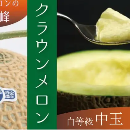 クラウンメロン中玉（白等級）１玉 果物類 メロン青肉 約1.3kg 