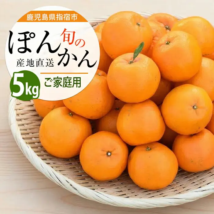 2027年発送 ぽんかん 約5kg  ポンカン みかん IB064-004