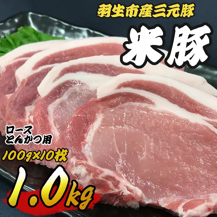 豚肉 豚肉ロース 1kg (100g×10枚) ロースとんかつ用 三元豚 米豚 国産 豚ロース