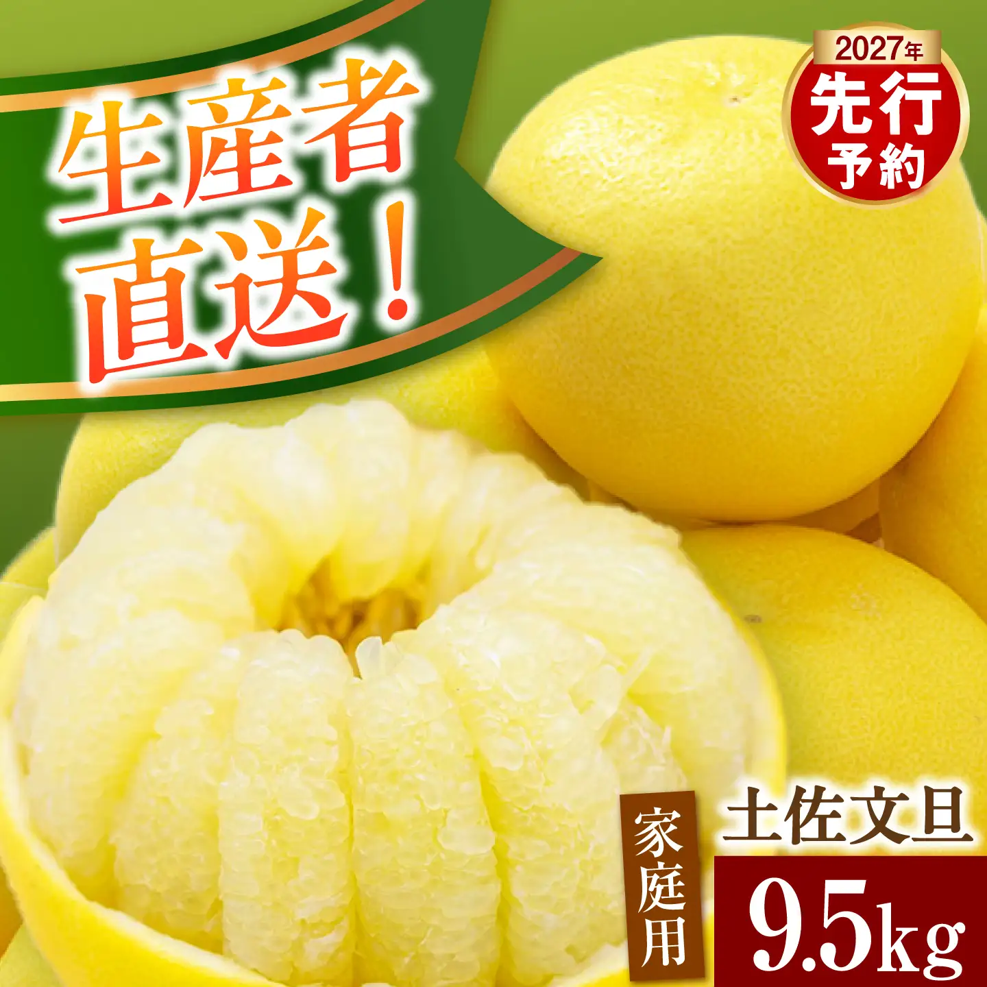 土佐文旦 9.5kg (2L～4L) 文旦 BQAH002