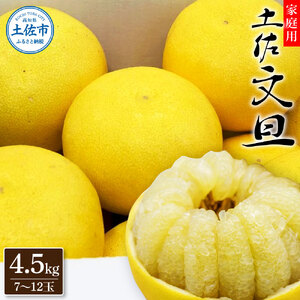 【先行予約】土佐文旦 4.5kg 文旦 BQAH001