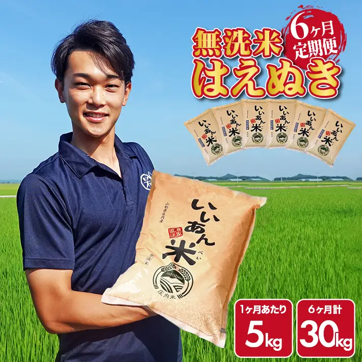 SG0144　【6回定期便】無洗米はえぬき　5kg×6回(計30kg)　農家直送『いいあん米』AG