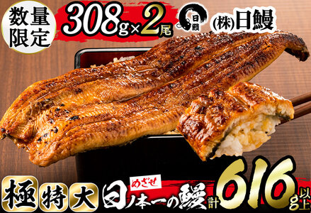 日ノ本一の鰻の蒲焼き＜極特大＞2尾セット(計616g以上) うなぎ 鰻 ウナギ 国産 鹿児島県産 九州産 蒲焼き 冷凍 うな重 ひつまぶし b7-010