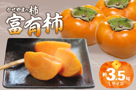 《先行予約》 かせやまの柿 富有柿 Lサイズ 約3.5kg 京都 015-01 ｜ かき【2026年10月下旬～順次発送】