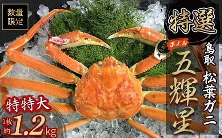 【松葉ガニ/3月上旬までの受付】【魚倉】五輝星 ボイル 松葉ガニ （特特大1.2kg）