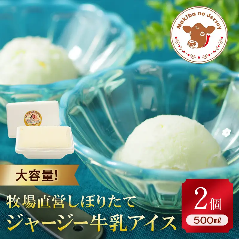 【ジャージー牛乳使用】まきばのジャージーアイス 500ml×2 (絶品ミルク) 福島県 伊達市 東北 ミルクアイス アイスクリーム 濃厚 F21C-039