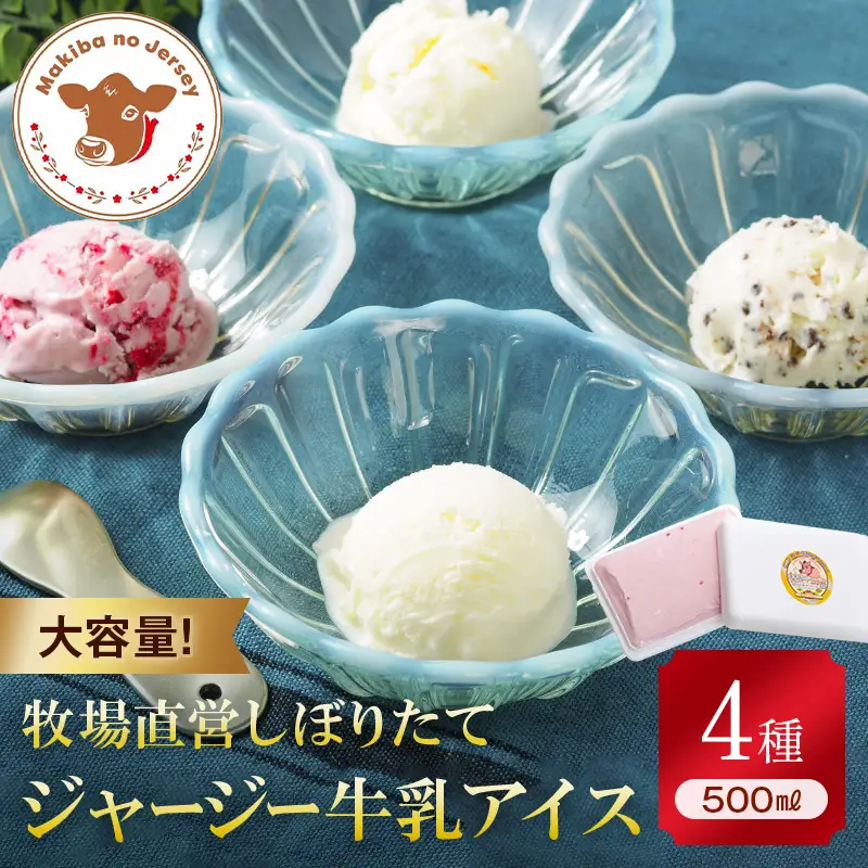 【ジャージー牛乳使用】まきばのジャージーアイス 500ml×4 (ミルク・チョコチップ・塩ミルク・季節のアイス) 福島県 伊達市 東北  アイスクリーム 濃厚 F21C-038