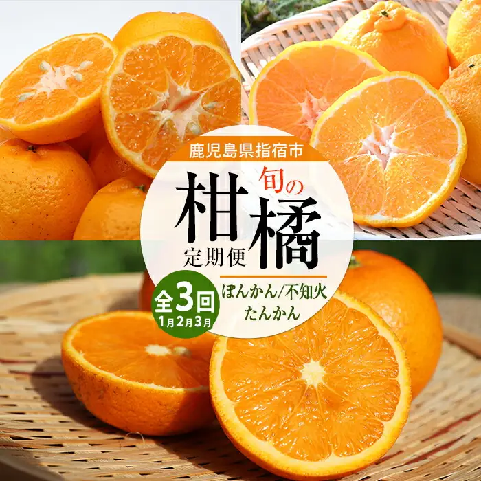 全３回定期便 みかん尽くし ぽんかん 不知火 たんかん IBZ064-001