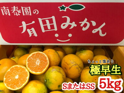 【ちょっと傷あり】極早生・有田みかん 約5kg (SまたはSSサイズ)_ZF6005n