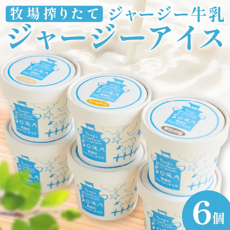 SORA 濃厚ジャージーアイス6個×100ml｜アイス・スイーツ