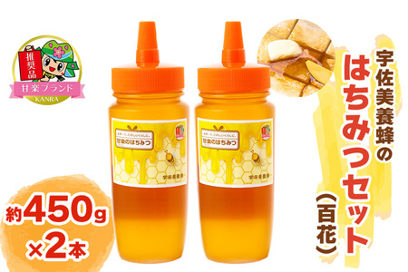 宇佐美養蜂のはちみつセット (百花) 450g×2本「KANRAブランド認定商品」｜国産 純粋はちみつ 蜂蜜 ハチミツ 無添加 とんがり容器 ボトル セット ハニー 産地直送 甘楽町 群馬県 [0209]