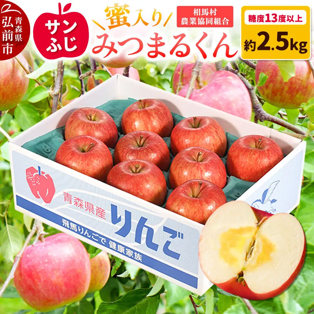 りんご 蜜入り サンふじ（みつまるくん）約 2.5kg【11月～発送】りんご