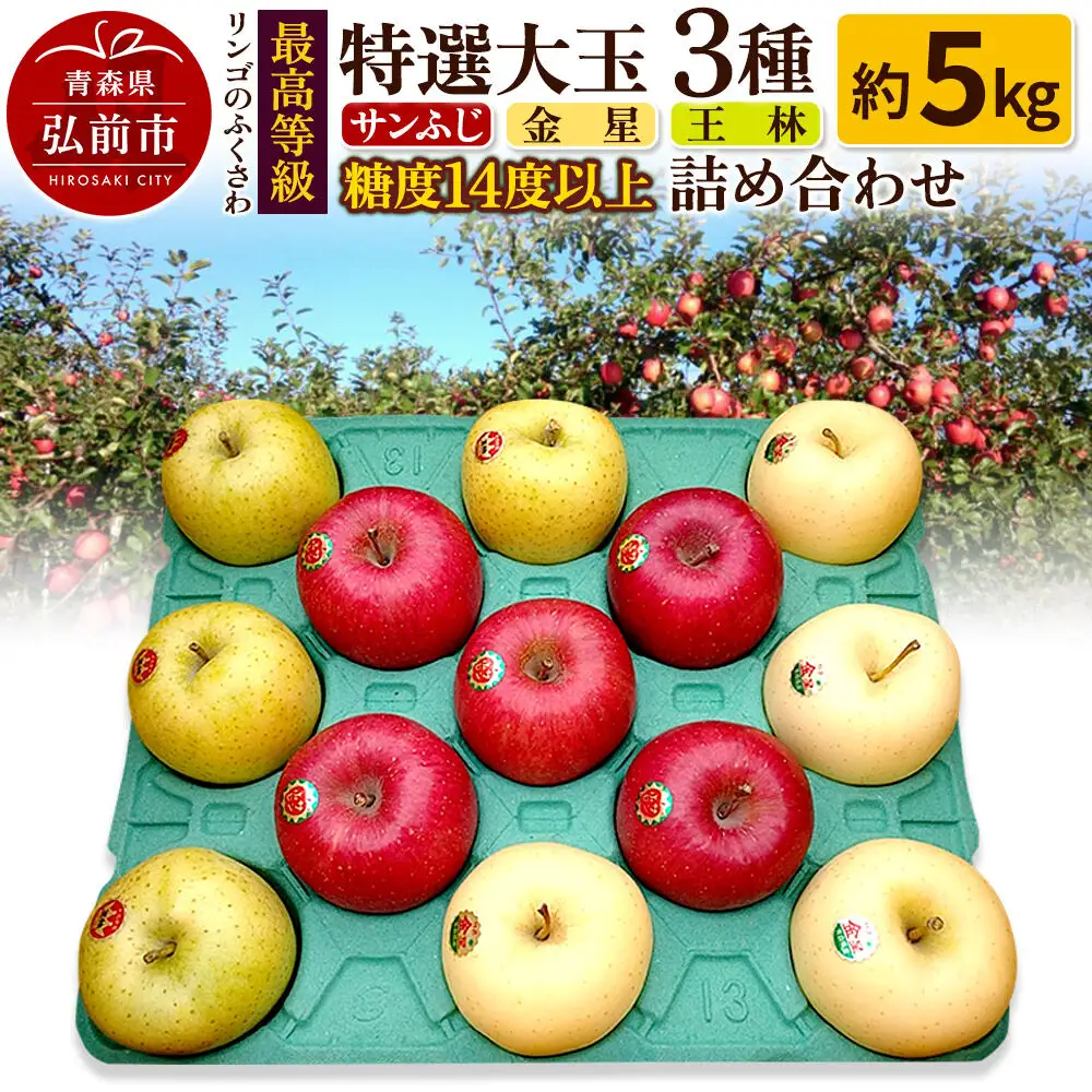 【26年12月～発送】りんご 最高等級 特選大玉 3種詰め合わせ 約5kg（サンふじ・金星・王林）糖度14度以上