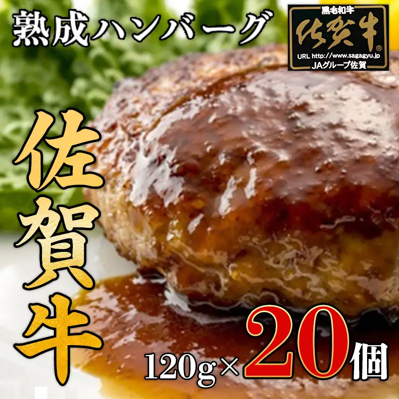 佐賀牛入り 熟成 ハンバーグ 約120g×20個 179-J1885