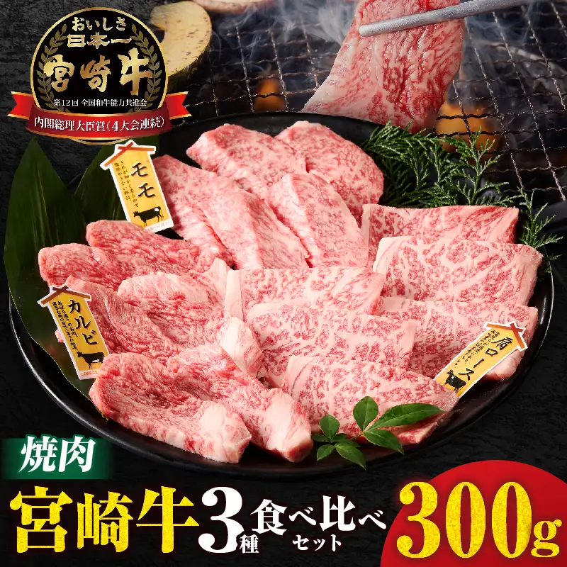 宮崎牛『焼肉』3種食べ比べセット(合計300g)肉 牛 牛肉 おかず 国産_T009-035