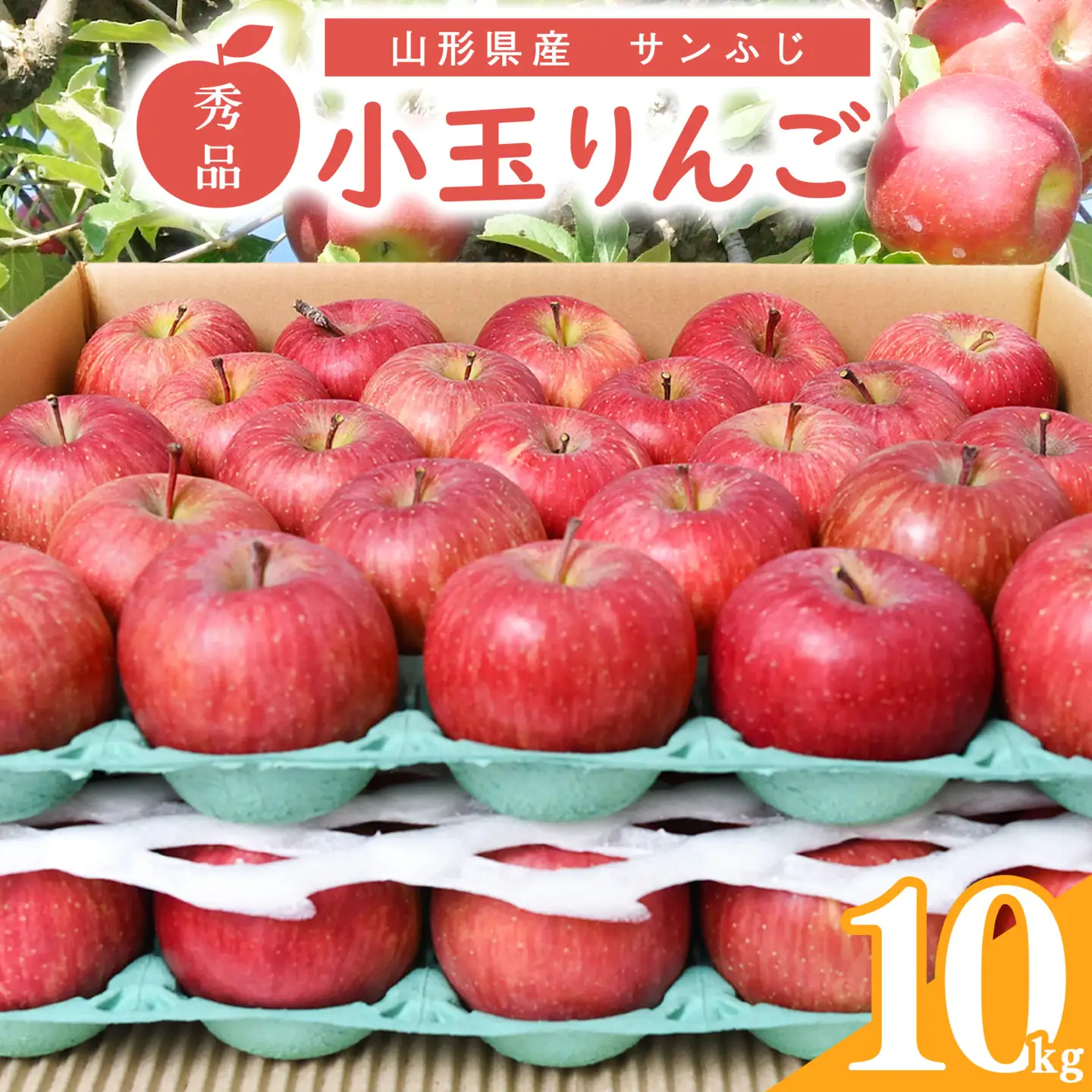 令和8年産 小玉りんご「サンふじ」10kg 秀品 山形県産【2027年1月上旬頃～下旬頃発送予定】　018-B-MM035