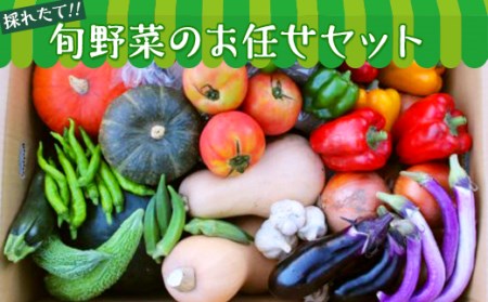 【数量限定】旬野菜のお任せセット