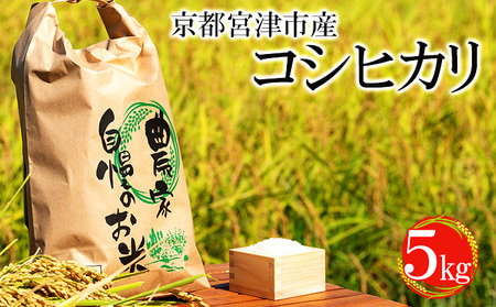 京都宮津市産コシヒカリ 5kg お米 白米 精米 京都宮津市産コシヒカリ